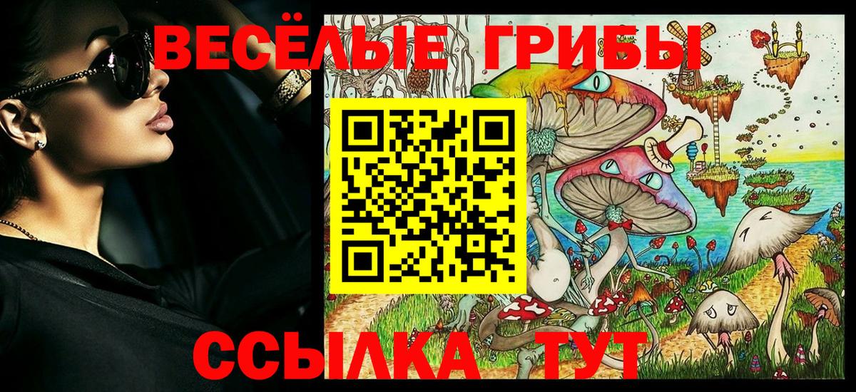 Отрадный  Галлюциногенные грибы Magic Shrooms  Вход с VPN 